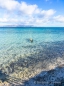 ein Kreuz im Meer am Playa Tecolote ... es wird auch gleich von "unserem" Strandhund unter die Lupe genommen