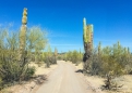 17 km gute Gravelroad sind der Weg zur Bahia San Basilio