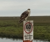 Hier wacht der Osprey über die Geschwindigkeitseinhaltung