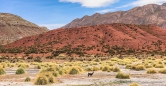 tolle Aussichten von Potosí nach Uyuni