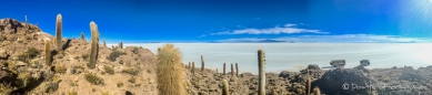 morgendlicher Blick über den Salar von der Isla Incahuasi