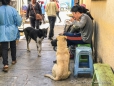 Die Markt-Hunde wissen wo es etwas zum essen gibt ;)