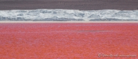 Laguna Colorada