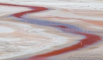 Laguna Colorada