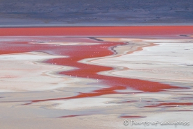 Laguna Colorada