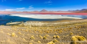 Laguna Colorada