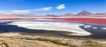 Laguna Colorada