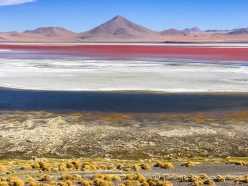 Laguna Colorada