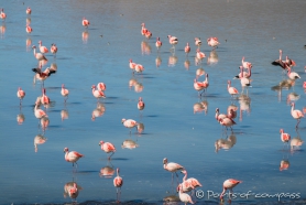 Laguna Hedionda