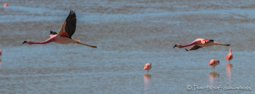 Laguna Hedionda