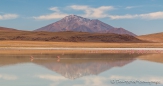 Laguna Hedionda