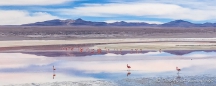 Laguna Colorada