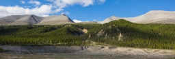 Aussichten vom Alaska Highway