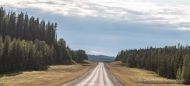 tolle Wälder rechts und links der endlos scheinenden Straße