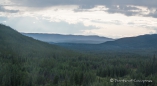 Blick über die Wälder