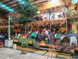 tolle Cafés & Restaurants in San Cristobal de las Casas