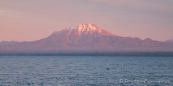 Vulkan Calbuco im Abendrot