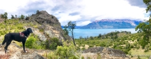 Aussichten am Lago General Carrera