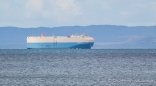 ein "kleines" Container-Schiff auf der Magellan-Straße