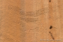 Felsmalerein - Petroglyphs