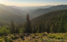 Blick über die Wälder der Rockies...