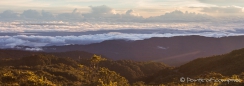 Morgenstimmung auf dem Cerro de la Muerte