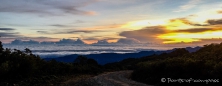 Morgenstimmung auf dem Cerro de la Muerte