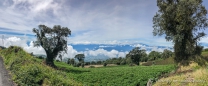 ... dabei bieten sich immer wieder tollte Aussichten auf die unter uns liegenden Landschaft