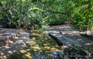 Im Dschungel des Cahuita-Nationalparks