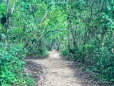 Cahuita Nationalpark