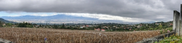 Blick über das morgendliche San José