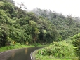 unterwegs entlang des Amazonasrandes