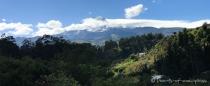 Blick auf den Vulkan Cayambe