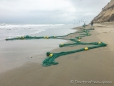 am Morgen werden die Fischernetze aus dem Meer gezogen