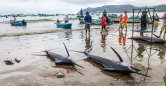 Fischmarkt am Strand von Puerto Lopez