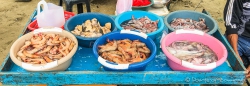 Fischmarkt am Strand von Puerto Lopez