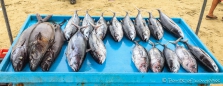 Fischmarkt am Strand von Puerto Lopez