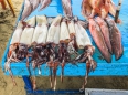 Fischmarkt am Strand von Puerto Lopez