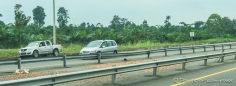 Trocknen von Cacao-Bohnen auf dem Mittelstreifen der Autobahn