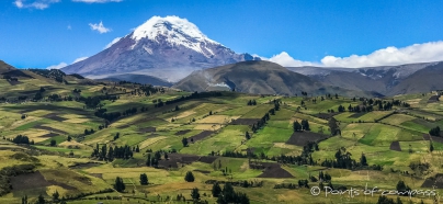 das Patchwork der Felder und der Gipfel des Chimborazo wirken regelrecht kitschig auf uns