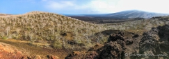 Aussicht zum Darwin Vulkan