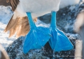 Blue-footed Boobie - Blaufußtölpel