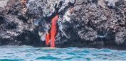 Die Lava des Vulkan Sierra Negra läuft in den Pazifik