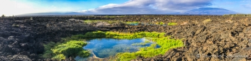 Spazierganng über die Lavafelder am Punta Moreno