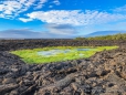 Spazierganng über die Lavafelder am Punta Moreno