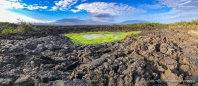 Spazierganng über die Lavafelder am Punta Moreno