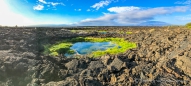 Spazierganng über die Lavafelder am Punta Moreno