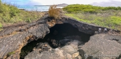 Túnel del Estero beim Strandspazierganng in Puerto Villamil