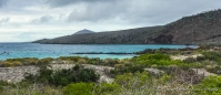 Punta Comorant - Isla Floreana