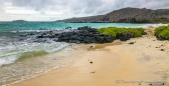 Punta Comorant - Isla Floreana